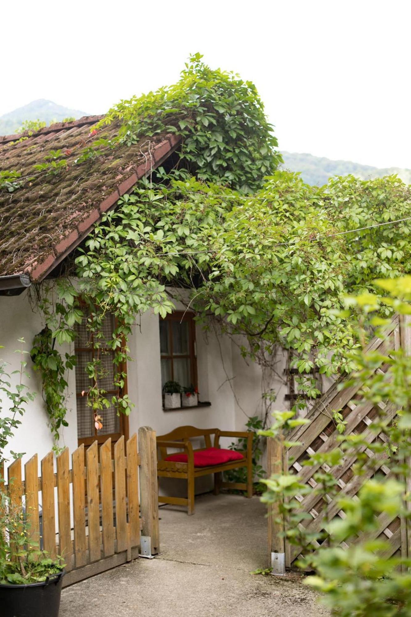 Steinschalerhof Hotel Warth  Exterior photo