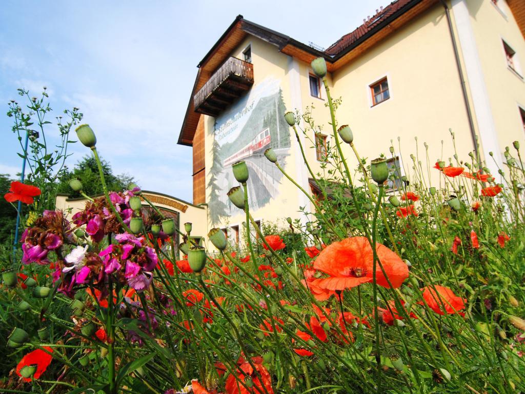 Steinschalerhof Hotel Warth  Exterior photo